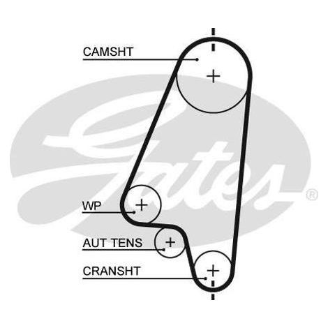 Courroie crantée Gates 5310XS BEDFORD 5636356 5636364 5636560 636372 636561