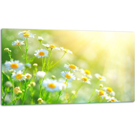 Tagliere in vetro 52x30 con decorazioni floreali (1/5)