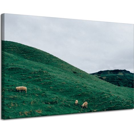 Leinwanddruck Naturweide in den Bergen 120x80