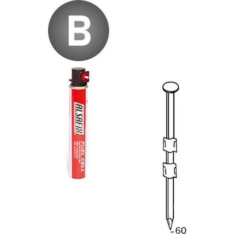 2 200 Pointes Lisses en Bande 20° (Pack) - 2.9x60 mm + 2 Cartouches de Gaz Rouge - D-Work (1/5)