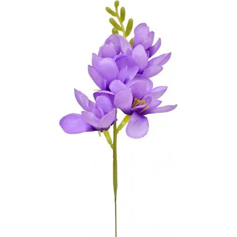 Lot de 4 freesias 26 cm  WYR03359