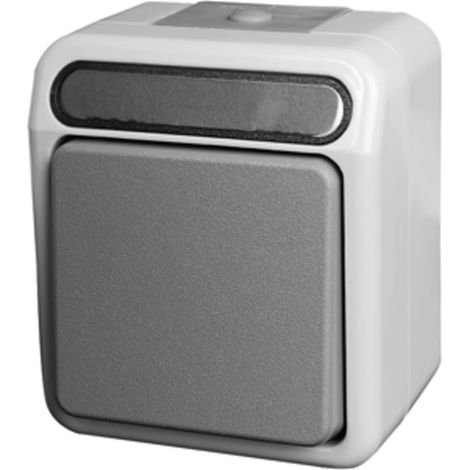 Permutateur Merten IP 44 AQUASTAR gris clair