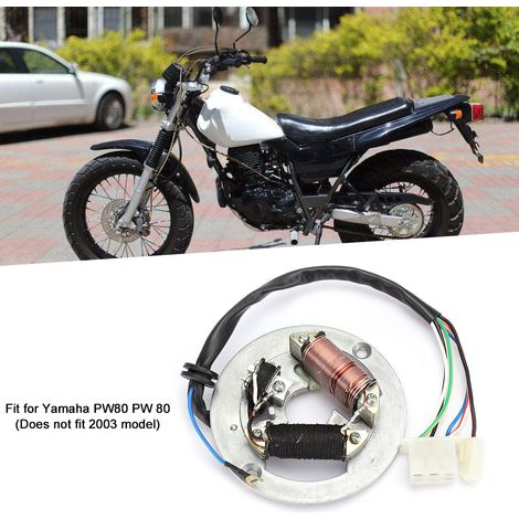 Plaque de stator de magnéto d'allumage à double bobine, accessoire compatible avec la moto Yamaha PW80. (1/5)