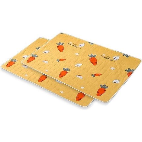 Lavable Reusable chat et chien Urine Pads pour Daily Use by chats et chiens Floor Mats chien Cages Garden 70x90cm (1/5)