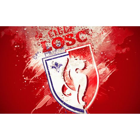 Papier peint panoramique Foot / Football - LOSC - Lille - 130 cm x 81 cm (1/2)