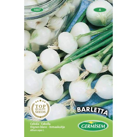 graines Oignon blanc BARLETTA