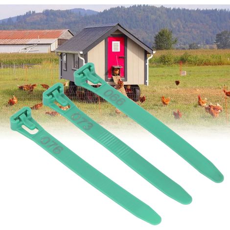 Wiederverwendbare, nummerierte Hühnerringe für Enten, Küken, Tauben und Gänse – Set mit 1–100 Stück – Grün PP (1/5)