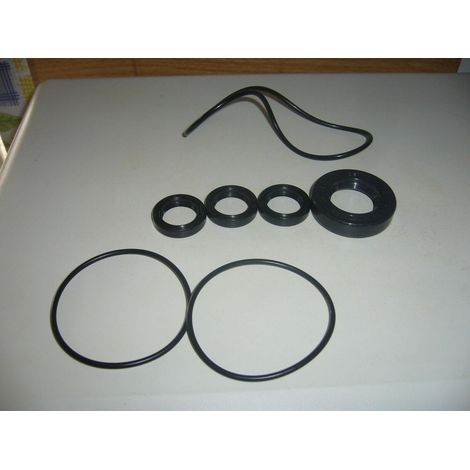 KIT TENUTE OLIO POMPE IDROPULITRICI ANNOVI REVERBERI BLACK&DECKER 1855 (1/2)