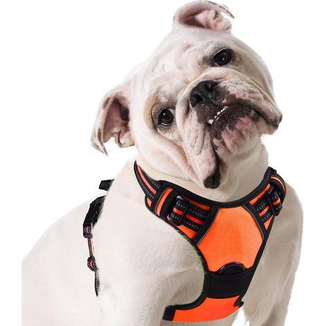 Harnais Chien, Harnais Anti Traction pour Chien, Orange, M (1/5)