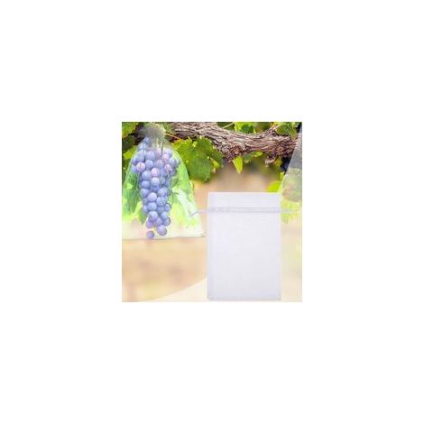 50 x Sachet de Protection Fruits Sac de Protection des Raisins Reusable Jardin Sac en Organza avec Cordon pour la Protection Contre Les Guêpes et Oiseaux, 30cm x 20cm, Blanc H198