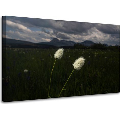 Leinwanddruck Natur Wildblumen 100x60 cm