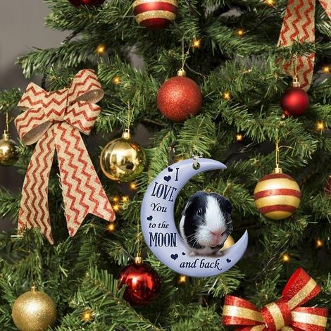 Lot de 3 décorations de Noël en acrylique représentant une grenouille sur la lune, à suspendre au sapin ou à la voiture. Idéal pour les fêtes. (1/5)