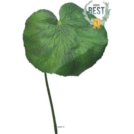 Feuilles de Galax artificielles, en lot de 20, D 10 cm - BEST (1/4)