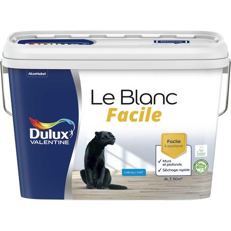 Peinture Le Blanc Facile Dulux Valentine Mat Blanc 5 L (1/5)