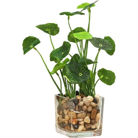 Bonsaï Artificiel en Pot Vert en Céramique Fleurs en Soie, Robuste et Solide, Décoration de Bureau ou Chambre à Coucher (1/5)