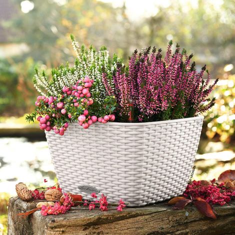 LECHUZA BACINO Cottage Komplettset weiß (1/5)