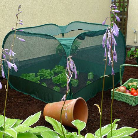 Pop-Up Net Fruit Cage – 1.25m x 1.25m x 0.75m High