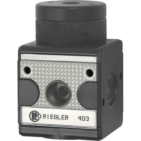 Riegler Druckregler pneumatisch ferngesteuert »multifix«, BG 3, G 1/2 (1/4)