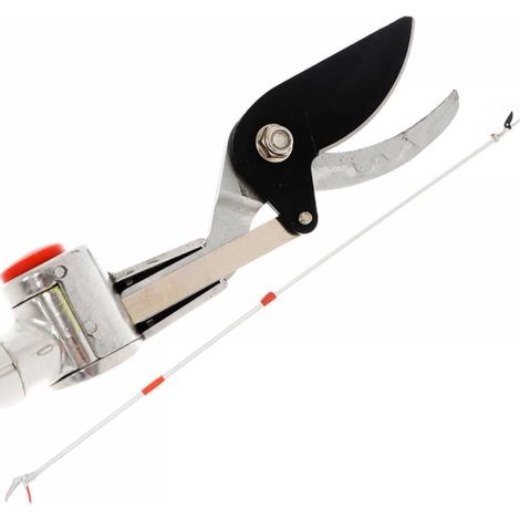 Forbice ad Asta Lunga Telescopica STOCKER cm 180-300 art 604 (1/3)