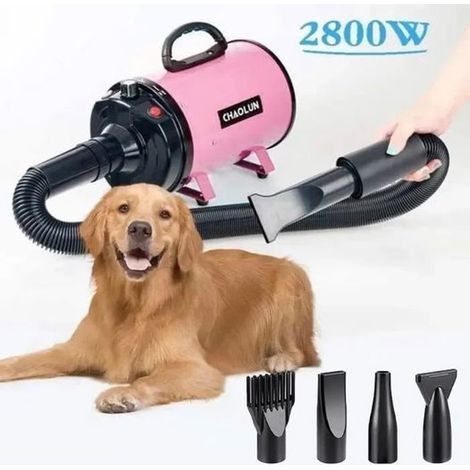 Séchoir Sèche-Poils Toilettage pour Chiens Chats Animaux 2800W - Chaleur et Vitesse Réglable,Fiche Standard française (1/5)
