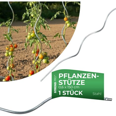 Stab GS1 1500/6 mm, spiralförmig, Draht Zn, Stützstab für Pflanzen und Tomaten (1/4)