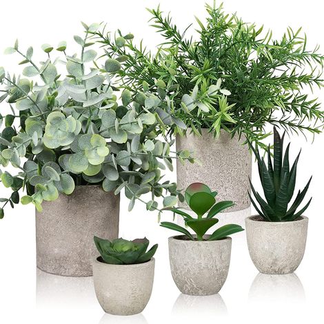 Lot de 5 Plantes Artificielles Interieur,Fausse Plante Interieur en Pot,Plante Artificielle Fausses Plantes Succulentes, Plante en Plastique pour Salon,Salle de Bain,Décoration de Rebord (1/5)