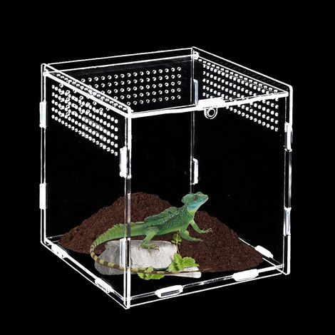 Zuchtbox, transparentes Acrylglas, 10 cm, seitliche Belüftung, kompaktes Terrarium, für Spinnen und Insekten (1/5)