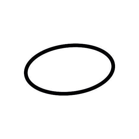 hansgrohe O-Ring 56x3mm NBR 40 InfrarotHD (1/2)