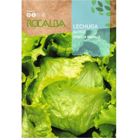 Rokalba Lechuga Crispilla Yellow 6g