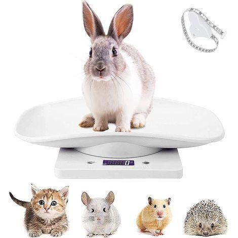 Balance Électronique LCD Pour Petits Animaux - 10 kg - Affichage Rétroéclairé - Unités g/lb:oz/ml - Usage Cuisine Et Soins Animaux - 1 Pièce (1/5)