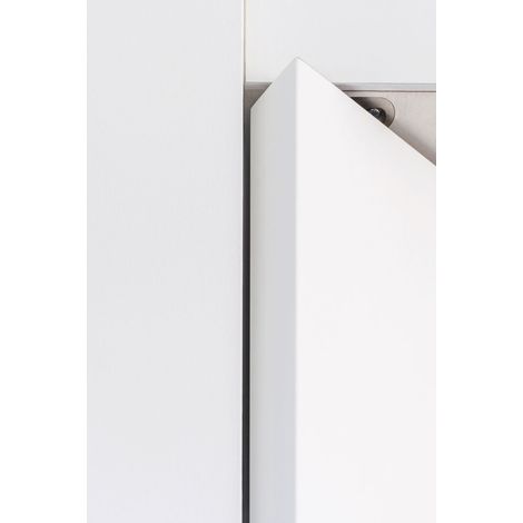 Türband Pivotica Pro BI, max. Türgewicht 100 kg, Türstärke ab 40 mm, Edelstahl (1/5)