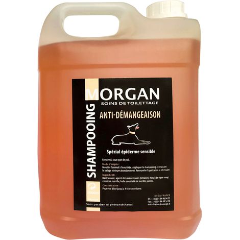 Shampoing anti-démangeaison Morgan : 5L