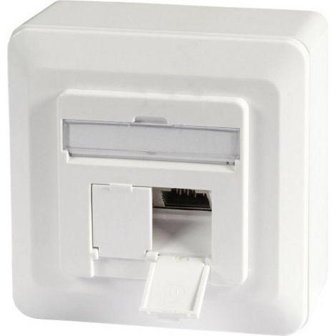 PRISE RÉSEAU EFB ELEKTRONIK ET-25133AV5-R TYPE DE MONTAGE:EN SAILLIE, ENCASTRABLE CAT 6A 2 PORTS BLANC PUR (RAL 9010) (1/2)
