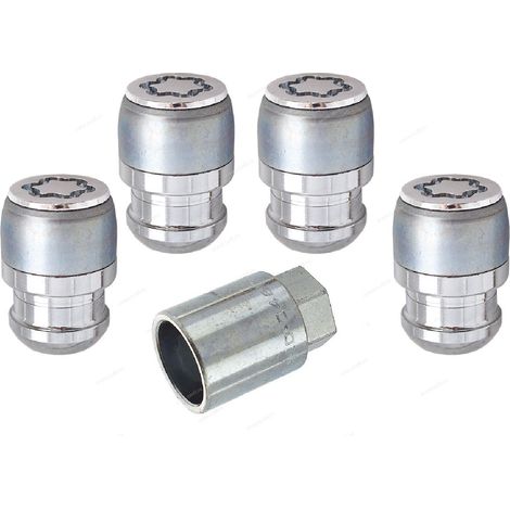 4 vis antivol haute securite 12x15 R12 29.9mm Douille 19mm - 25000SL