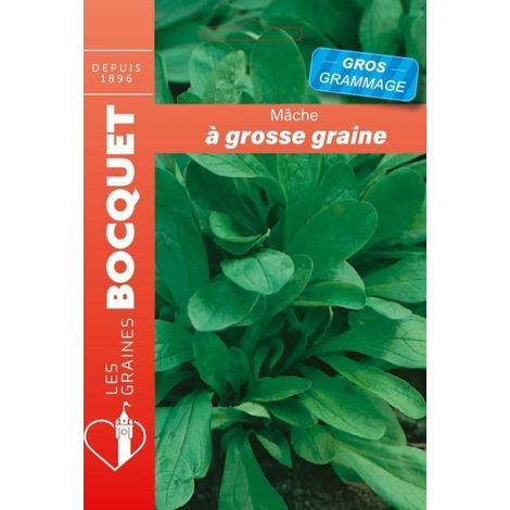 Mâche à grosse graine gros grammage - 15g