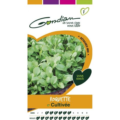 Gondian - Roquette Cultivée