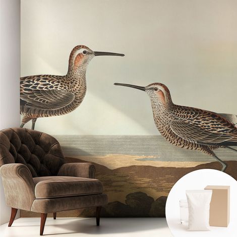Tapete Vliestapete mit Kleber - abwaschbar - Arbeitszimmer - Esszimmer- Top Qualität Vogelsilhouetten 250x250 cm (1/5)