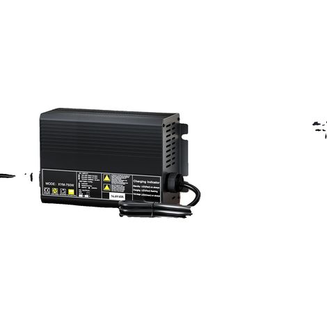 Caricabatterie, uscita 50A, molteplici opzioni di connessione, 14,6V 40A, EU-c (1/2)