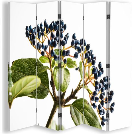 Paravento bilaterale, Sambuco nero - 180x170 (1/5)