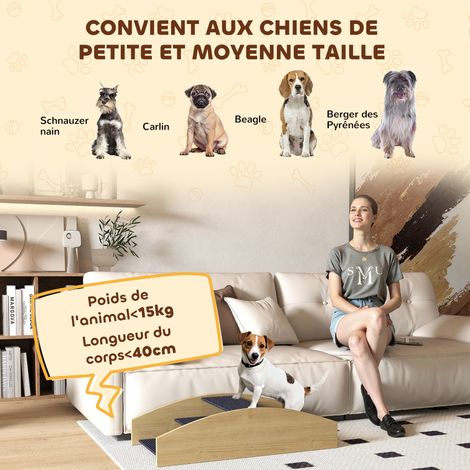 Bascule Chien Agility Réversible 2-en-1 Escalier pour Chien 3 Marches en Bois 80x39,5x20cm, Bois Naturel (1/5)