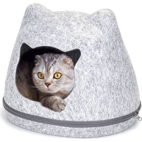 Maison pour chat en gros avec oreilles de chat Bac et maison de toilette pour chat (1/5)
