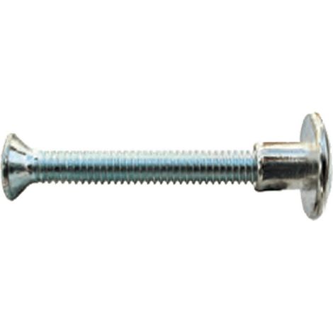 250PZ VITE PER SEDIA mm 25 x M 4