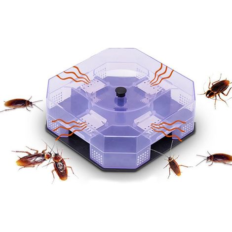 Piège à Cafards Anti-Blattes, Appât Non Toxique pour Lutte Contre les Cafards et Insectes, Piège Intérieur pour Cuisine, Maison et Appartement (1/5)