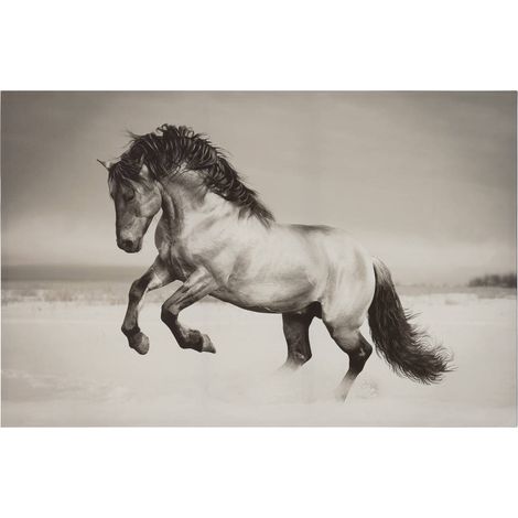 Tela incorniciata animali 75x115cm - Atmosphera créateur d'intérieur (1/5)