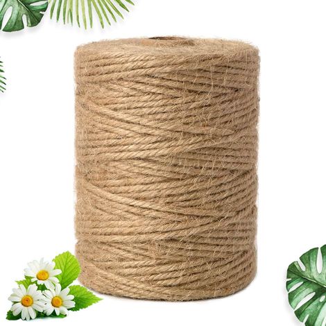 100m Ficelle Juteuse Naturelle Non Teintée, 3mm Résistant à la Déchirure Corde en Jute Naturelles, Cordelette-Ficelle Jute Teinte Naturelle, Ficelles Juteuse Naturel, pour Jardinage, Plantes (1/5)