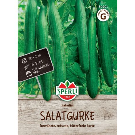 Sperli Salatgurken Saladin F1 - Hybride - Gemüsesamen (1/2)