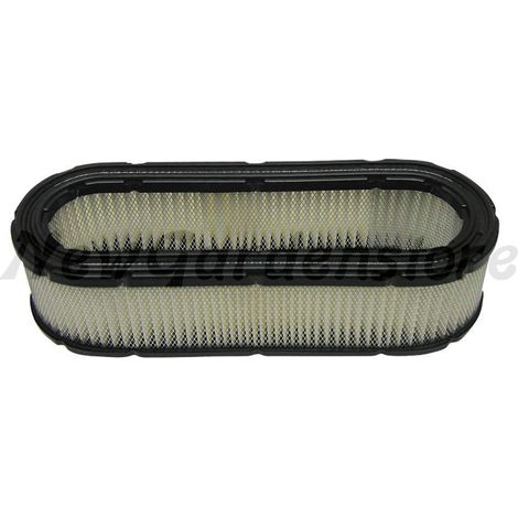 Filtro aria trattorino tagliaerba rasaerba compatibile BRIGGS & STRATTON 394019