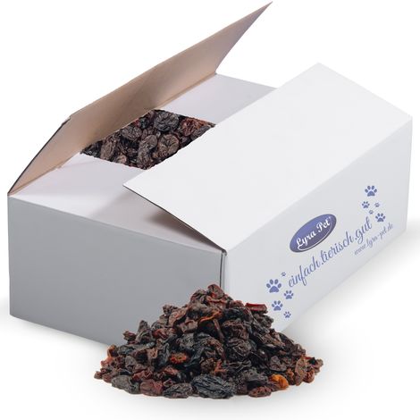 20 kg de raisins secs Lyra Pet®