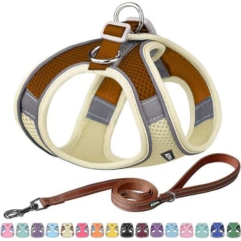 Harnais Chien Step-In, Laisse, Anti-Traction, Reflechissant, Securite, Confort, Animal, Compagnie (1/5)