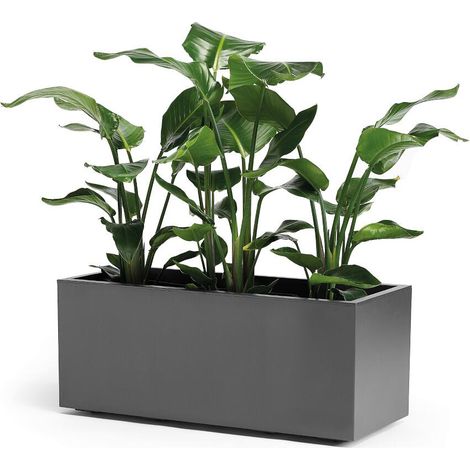 Pflanzkasten GREENER KEBE 100 cm anthrazit